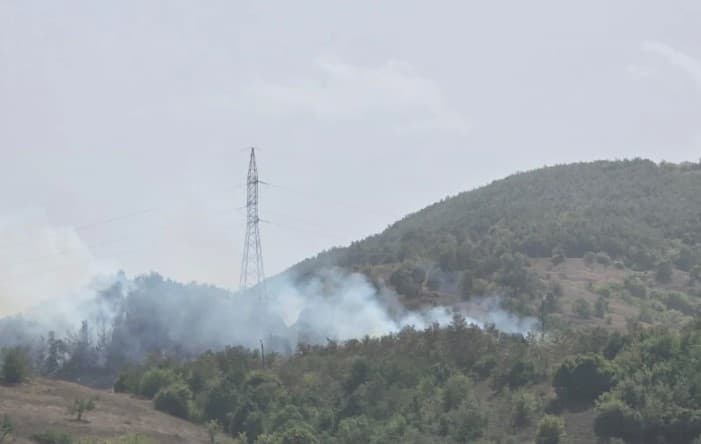 Flakët djegin pyjet dhe kullotat në Maliq, zjarrfikësit vënë situatën nën kontroll pas ndërhyrjes!