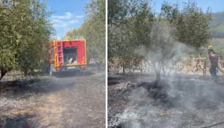 Vatër e madhe zjarri në Cërrik, Emergjencat apel banorëve: Kini kujdes, njoftoni menjëherë sapo të evidentoni vatra!