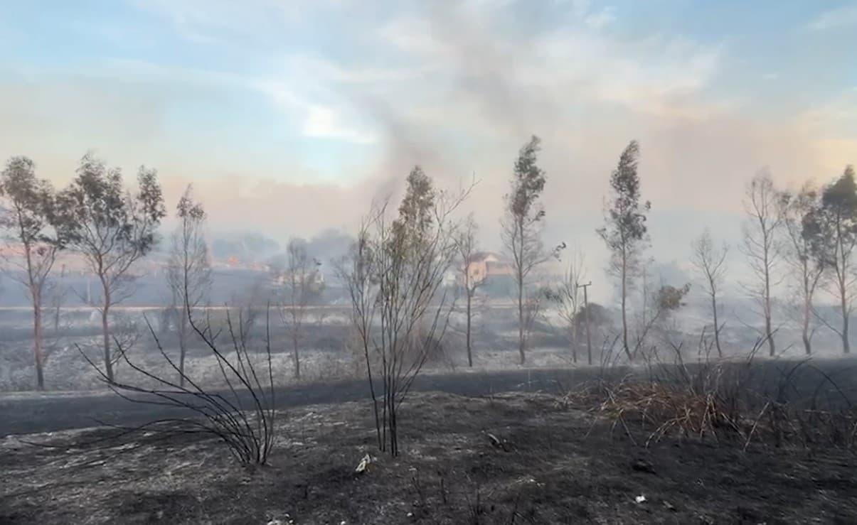 Zjarri në Levan del jashtë kontrollit, banorët dalin në rrugë nga paniku! Rrezikohen shtëpitë, luftë me flakët nga toka dhe ajri (VIDEO)