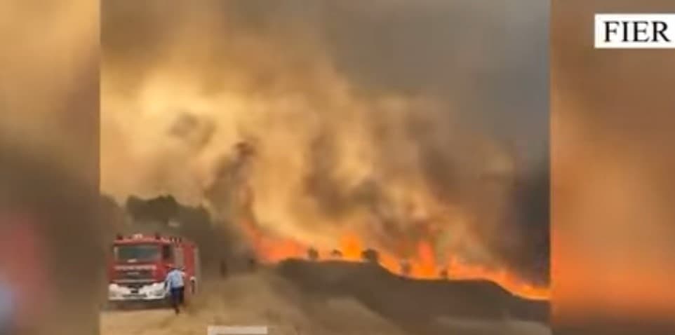 Ndezën dy nga zjarret dje në Fier, arrestohet në flagrancë një piroman i dyshuar, një tjetër merret nën akuzë!