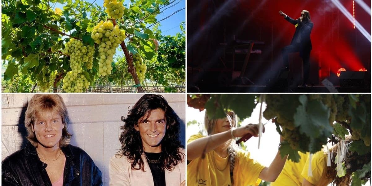 Sot nis “Hardh Fest” – tri ditë verë e rrush në vreshtat e Rahovecit, me Modern Talking për herë të parë në Kosovë