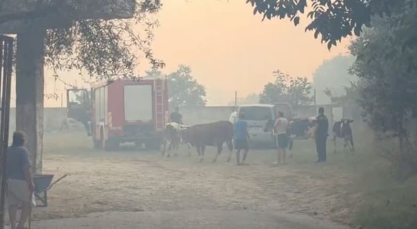 Vijon prej 24 orësh zjarri në kodrat e Bardhajve, flakët ‘kërcënojnë’ banesat