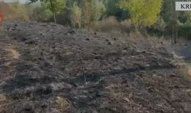 Shkaktoi zjarrin në fshatin Zallë, arrestohet 67-vjeçari i dyshuar si piroman, tha se po digjte mbeturinat!