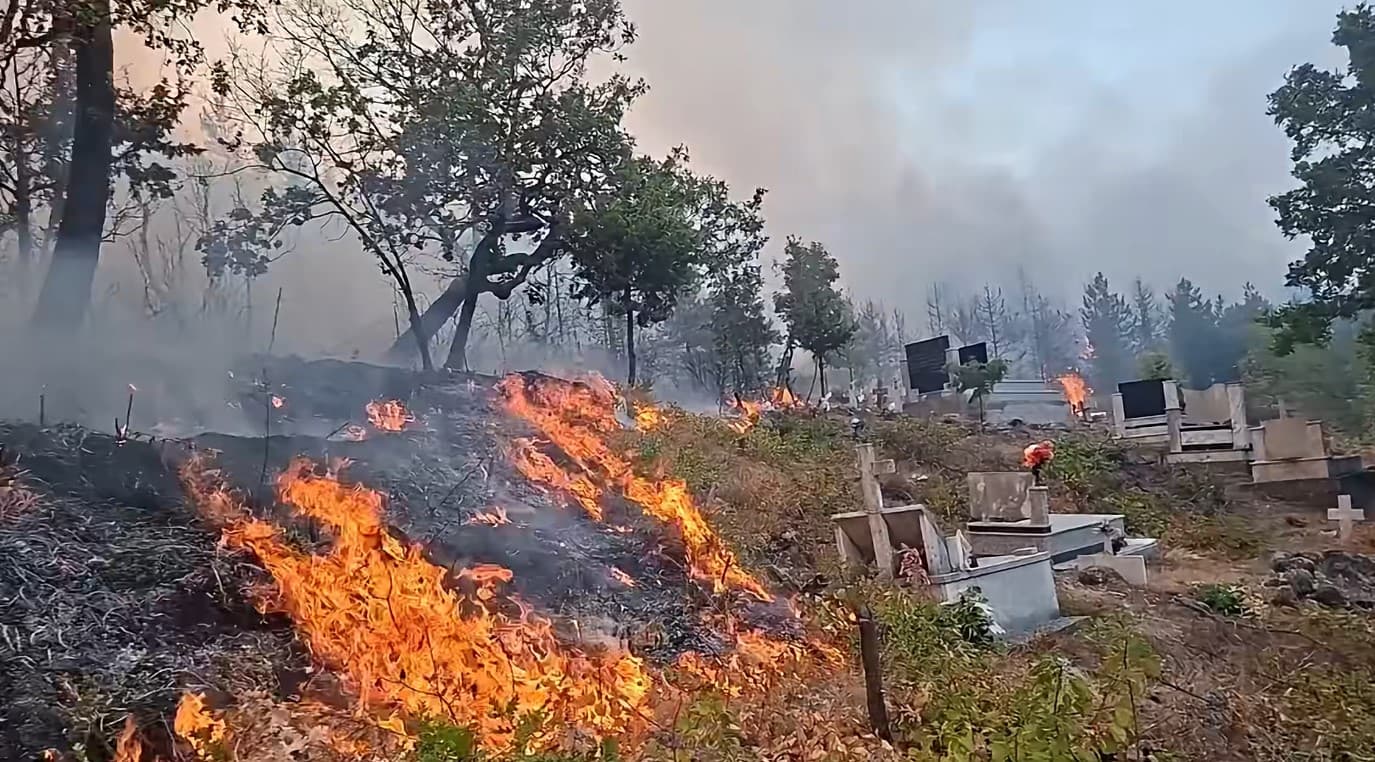 Riaktivizohet zjarri në Lezhë, mbi 5 vatra aktive