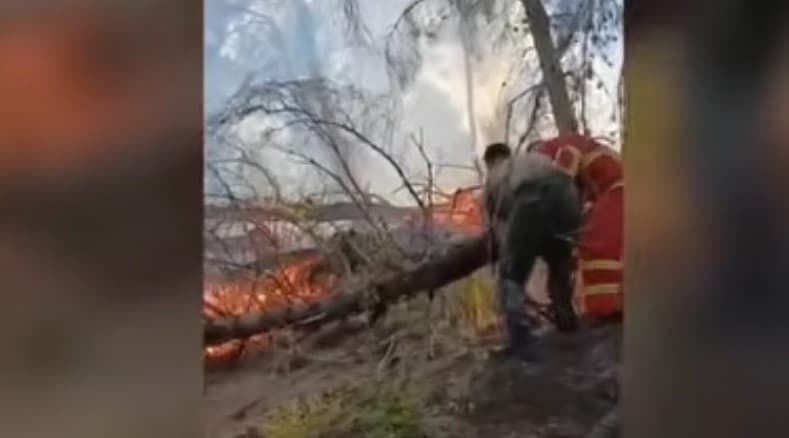 Zjarri në Mallakastër, riaktivizohen vatrat në Çërrilë, era dhe temperaturat e larta favorizojnë flakët (VIDEO)