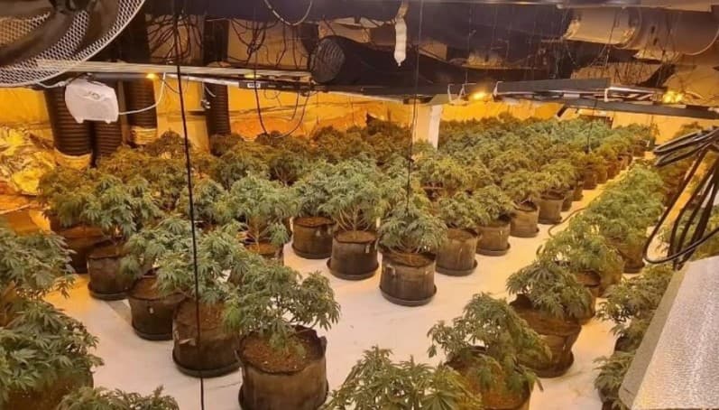 EMRAT+FOTO/ Kthyen ish-qendrën tregtare në ‘fermë hashashi”, arrestohen 2 shqiptarët në Angli! Vlera e drogës 1.3 milionë paund, ja si u zbuluan