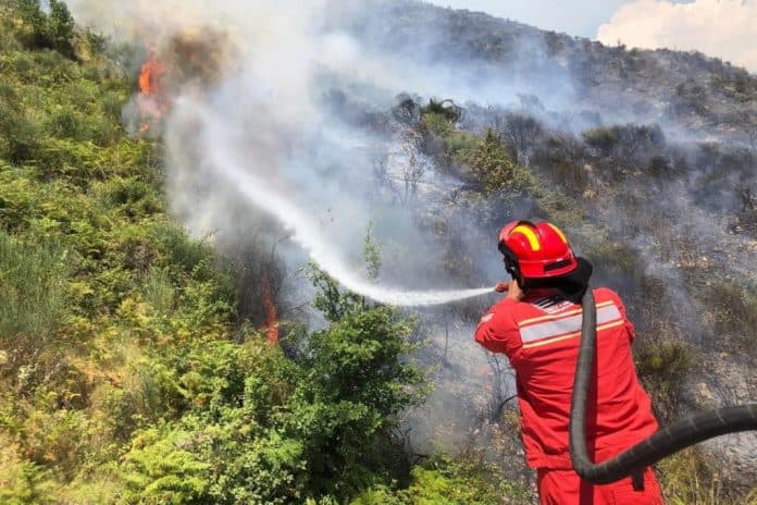 Shiu fik zjarret në Dajt, Dibër, Shkodër dhe Fier, përmirësohet situata! Mbrojtja: Vetëm një vatër aktive, 28 u shuan! S’ka rrezik për banesat