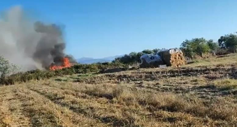 Zjarr i madh edhe në zonën e Nartës, era e fortë favorizon përhapjen e flakëve pranë banesave