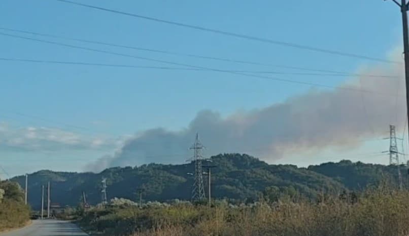 Zjarr masiv në kodrat me ullishta në Kreshpan të Fierit, era e fortë favorizon përhapjen e flakëve!