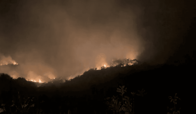 Zjarr masiv në fshatin Kotë të Selenicës, flakët u afrohen banesave