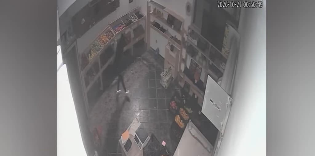 VIDEO/ Dy ‘skifterët’ bastisin dy herë brenda orës dyqanin e fruta-perimeve në Vlorë, vjedhin xhiron ditore!