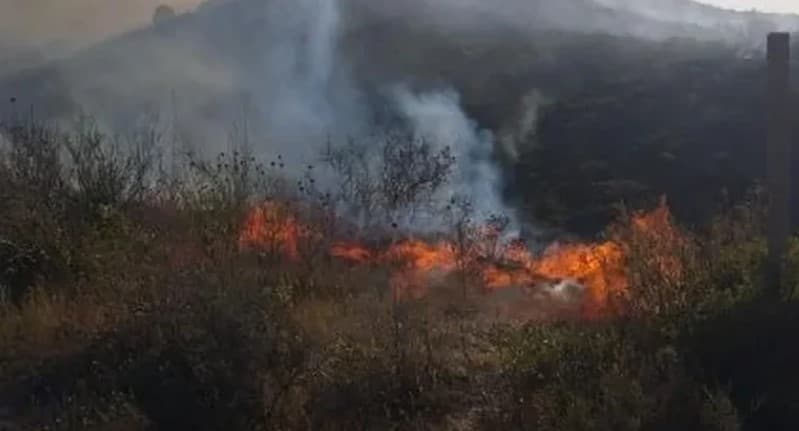 Vatër e madhe zjarri në Finiq, digjet një sipërfaqe me pemë dhe shkurre, rrezikohen edhe banesat