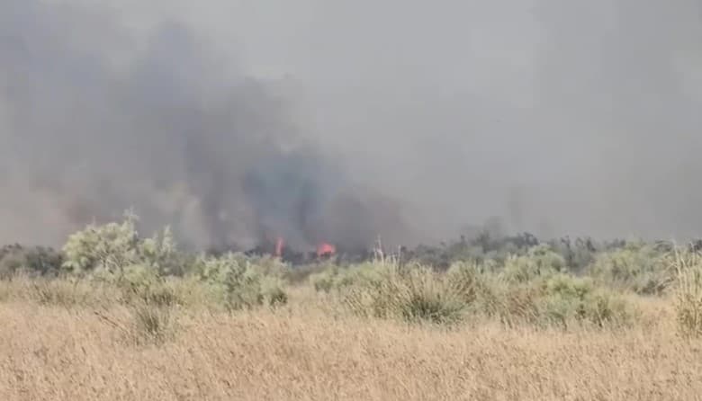 Flakët përfshijnë një stan në fshatin Akërni të Vlorës, zjarrfikësit nisen drejt vendngjarjes