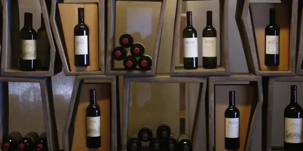 Grabitën 30 mijë shishe verë me vlerë rreth 5 milionë euro në një kantinë prestigjioze në Itali